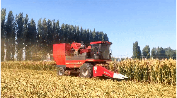 新疆牧神再添重器 | 國内..自走式制種玉米收獲機首試成功！